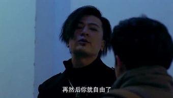 国产玖玖爱,探索中国本土爱情电影的独特魅力  第2张